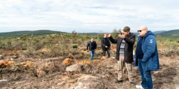 La MAE Assurances s’engage pour le reboisement des forêts tunisiennes ravagées par les incendies