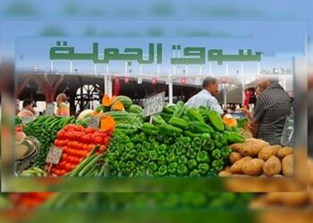 Sofiene Tarmiz devient le nouveau PDG de Sotumag