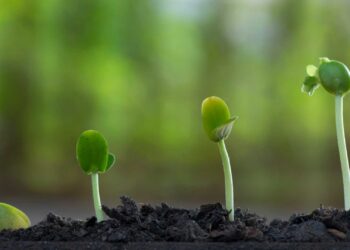 Un appel à propositions de plus de 100 M€ pour stimuler le développement durable en Méditerranée