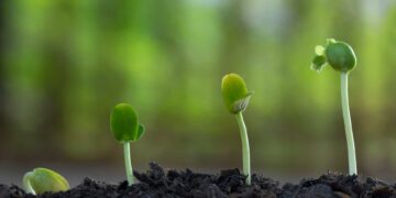 Un appel à propositions de plus de 100 M€ pour stimuler le développement durable en Méditerranée