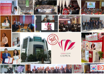 Bilan du Cepex en 2023: focus sur les startups