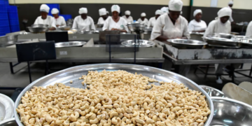 La Côte d’Ivoire, leader mondial de l’exportation de noix de cajou, inaugure une usine avec une capacité de 50 000 tonnes d’ici 2027