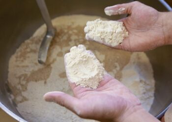 Farine et huile végétale: les quantités de 2024 dévoilées