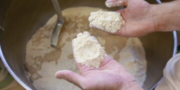 Farine et huile végétale: les quantités de 2024 dévoilées