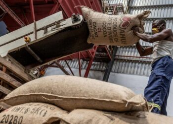 Abidjan confirme le respect des contrats d’exportation de cacao