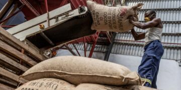 Abidjan confirme le respect des contrats d’exportation de cacao