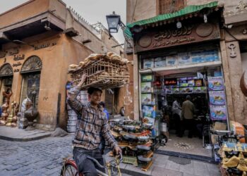 L’Égypte augmente le salaire minimum à l’équivalent de 607 dinars