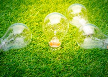 Comment bénéficier des incitations fiscales liées à l’économie verte, bleue et circulaire?