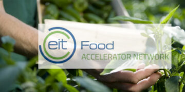 EIT Food Accelerator Network est ouvert jusqu’au 19 février