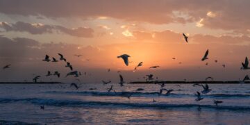 Eau: quelles prévisions pour la Tunisie à l’horizon 2030-50?