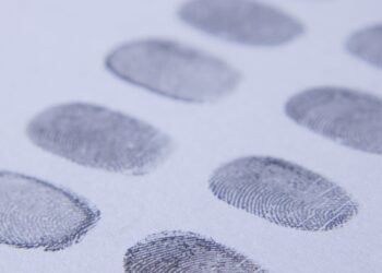 Une possibilité d’abaissement de l’âge légal d’obtention de la CIN