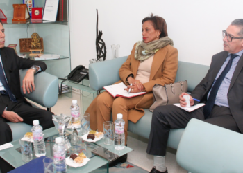 Renforcement des liens Sud-Sud: la Tunisie et les Comores