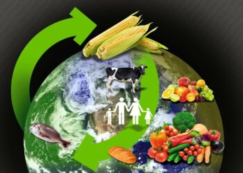 Débloquer les investissements pour un système alimentaire durable