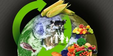 Débloquer les investissements pour un système alimentaire durable