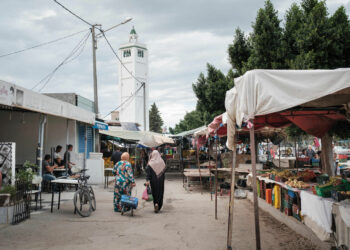 En parité de pouvoir d’achat, le PIB par habitant du Tunisien est de 12 723 dollars