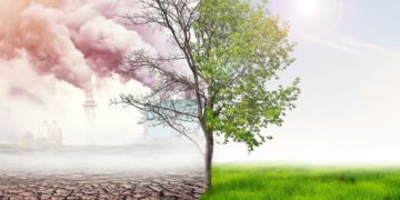 Changement climatique: la Tunisie publiera sa 5e communication nationale en 2025