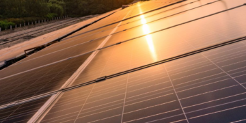 L’entreprise française EDF ENR s’implante en Tunisie