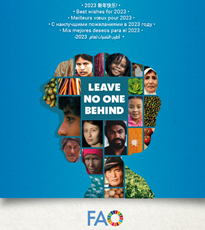 IFPON: digitalisation des données et géoportail pour l’avenir des secteurs forestier, pastoral et oléicole nationaux