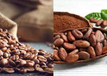 Le Japon a choisi d’investir dans ce pays africain pour 3 ans