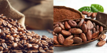 Le Japon a choisi d’investir dans ce pays africain pour 3 ans