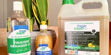 Fuzé investit dans la tunisienne Monsap