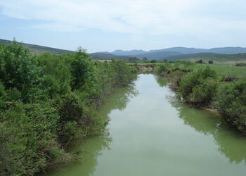 Garâa Sejenane: un appel du WWF à la société civile tunisienne