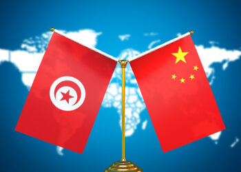 une cimenterie tunisienne passe sous pavillon chinois