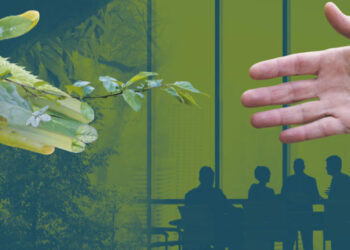 75% des entreprises cotées allouent des dotations pour le financement de programmes RSE