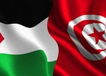 Transport: la Tunisie renforce son soutien à la Palestine
