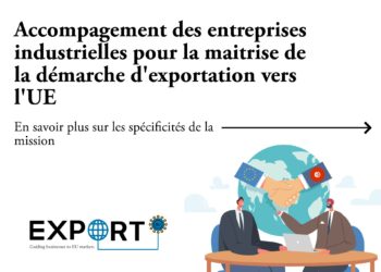 Initiative GIZ UE nouvelle opportunité entreprises industrielles