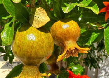 Une seule destination, 9 adresses et une déconnexion totale… quelle est donc cette ville en Tunisie?