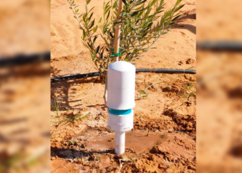 Agritech: Smart Farm cultive l’innovation dans les terres tunisiennes et ailleurs