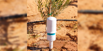 Agritech: Smart Farm cultive l’innovation dans les terres tunisiennes et ailleurs