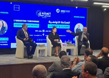 Fatma Thabet Chiboub: “Le secteur industriel représente environ 15% du PIB ”