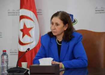 La Ministre de l'Équipement et de l'Habitat, chargée du Ministère des Transports, Mme Sarra Zaâfrani Zenzri,
