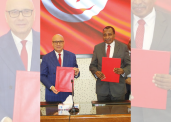 Bientôt, la Tunisie abritera le siège du bureau arabe de l’olive