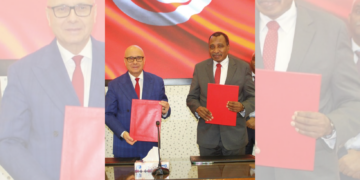 Bientôt, la Tunisie abritera le siège du bureau arabe de l’olive