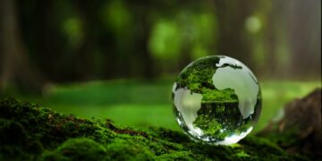 Innovation et environnement: le duo dynamique de Mobidoc Green