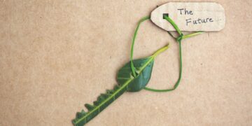 Tourisme bleu: un nouveau programme pour les éco-entrepreneurs tunisiens