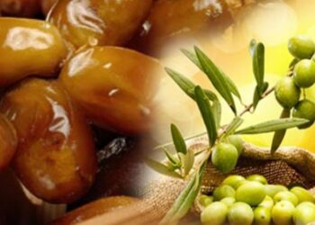 Certifications de qualité internationale: appel à candidatures pour les entreprises d’huile d’olive et de dattes biologiques