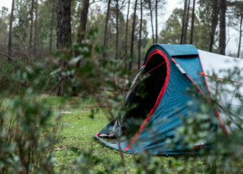 Camping interdit à Jendouba