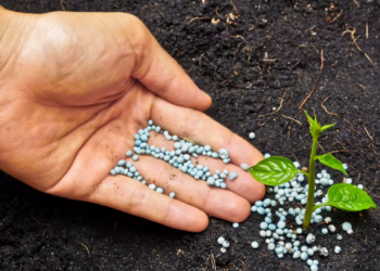 Engrais chimiques: une mise à jour des déclarations d’activité est nécessaire