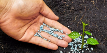 Engrais chimiques: une mise à jour des déclarations d’activité est nécessaire