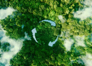 Libérer sa trésorerie avec l’économie circulaire