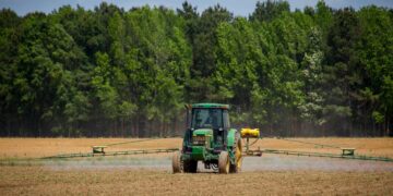 Baisse de 9,6% des investissements agricoles privés en Tunisie à fin mai 2024