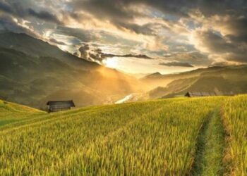 bonne opportunité croissance startups agrifood tunisiennes