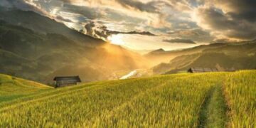 bonne opportunité croissance startups agrifood tunisiennes