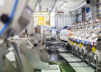 Entreprises: un premier semestre sous le signe du recyclage des ressources financières