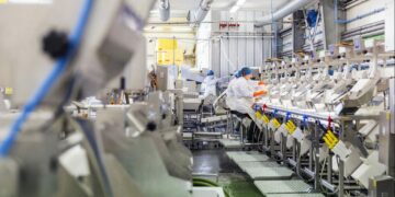 Entreprises: un premier semestre sous le signe du recyclage des ressources financières