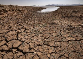 Des obligations sécheresse, le nouvel instrument financier de la Banque mondiale